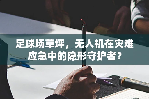 足球场草坪，无人机在灾难应急中的隐形守护者？