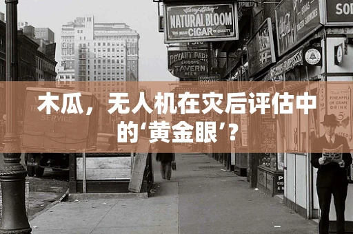 木瓜，无人机在灾后评估中的‘黄金眼’？