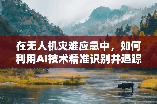 在无人机灾难应急中，如何利用AI技术精准识别并追踪支气管肺炎患者？