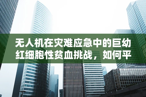 无人机在灾难应急中的巨幼红细胞性贫血挑战，如何平衡营养与飞行安全？