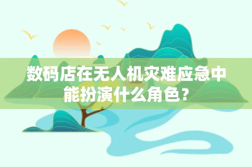 数码店在无人机灾难应急中能扮演什么角色？