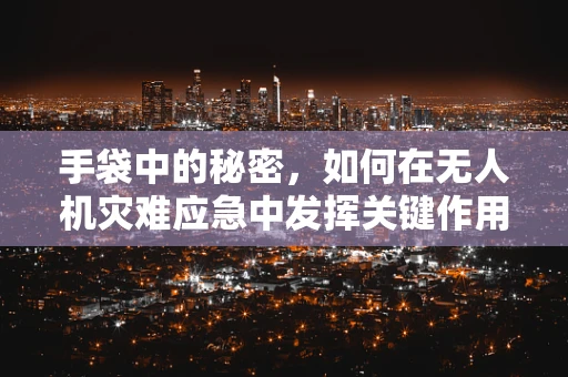 手袋中的秘密，如何在无人机灾难应急中发挥关键作用？