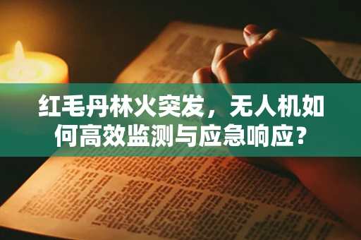 红毛丹林火突发，无人机如何高效监测与应急响应？