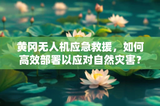 黄冈无人机应急救援，如何高效部署以应对自然灾害？