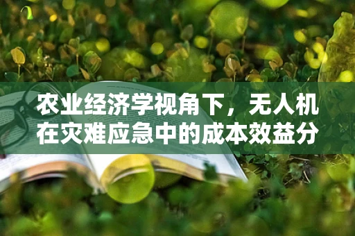 农业经济学视角下，无人机在灾难应急中的成本效益分析
