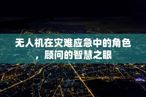无人机在灾难应急中的角色，顾问的智慧之眼