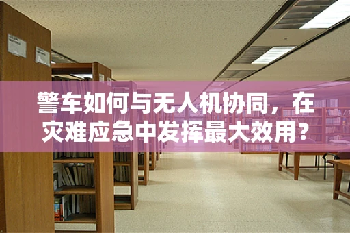 警车如何与无人机协同，在灾难应急中发挥最大效用？