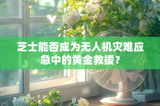 芝士能否成为无人机灾难应急中的黄金救援？
