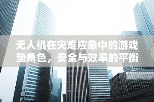 无人机在灾难应急中的游戏垫角色，安全与效率的平衡点？