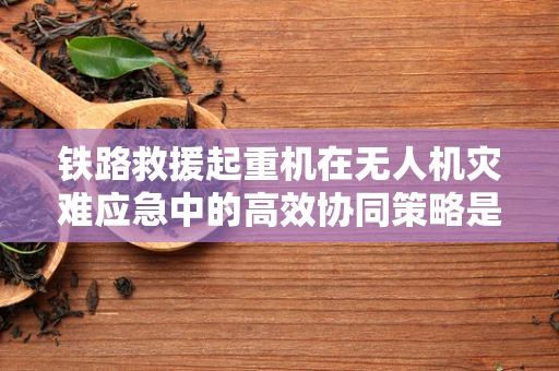 铁路救援起重机在无人机灾难应急中的高效协同策略是什么？