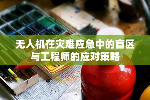 无人机在灾难应急中的盲区与工程师的应对策略