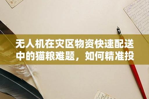 无人机在灾区物资快速配送中的猫粮难题，如何精准投放？