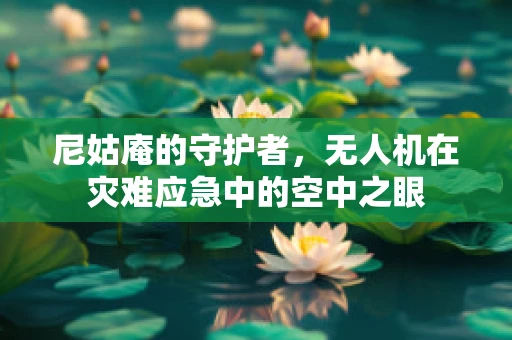 尼姑庵的守护者，无人机在灾难应急中的空中之眼