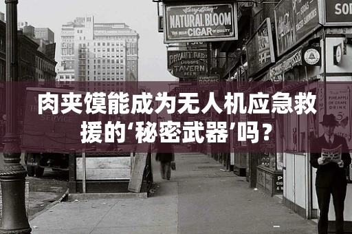 肉夹馍能成为无人机应急救援的‘秘密武器’吗？