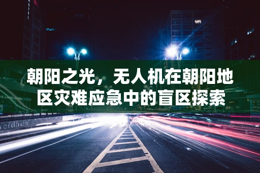 朝阳之光，无人机在朝阳地区灾难应急中的盲区探索