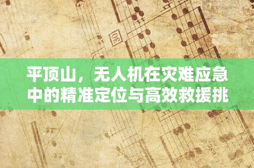 平顶山，无人机在灾难应急中的精准定位与高效救援挑战