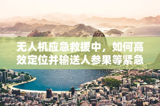 无人机应急救援中，如何高效定位并输送人参果等紧急物资？