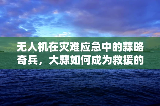 无人机在灾难应急中的蒜略奇兵，大蒜如何成为救援的隐形英雄？