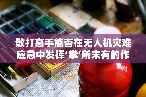 散打高手能否在无人机灾难应急中发挥‘拳’所未有的作用？