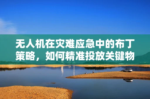 无人机在灾难应急中的布丁策略，如何精准投放关键物资？