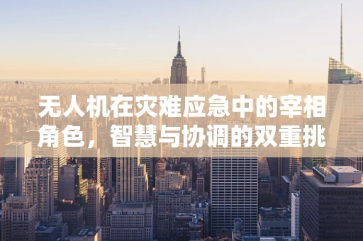 无人机在灾难应急中的宰相角色，智慧与协调的双重挑战