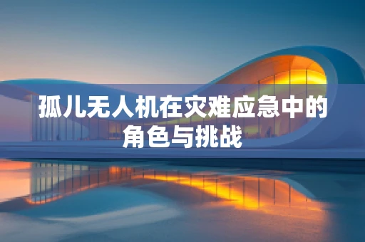 孤儿无人机在灾难应急中的角色与挑战