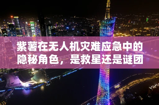 紫薯在无人机灾难应急中的隐秘角色，是救星还是谜团？