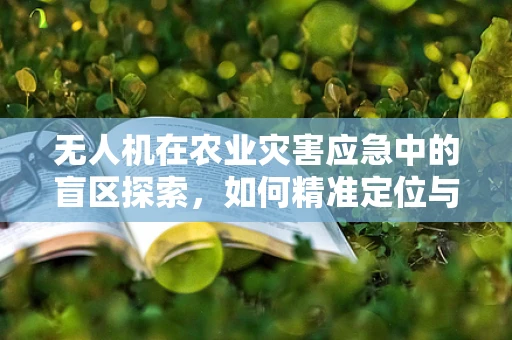 无人机在农业灾害应急中的盲区探索，如何精准定位与高效救援？