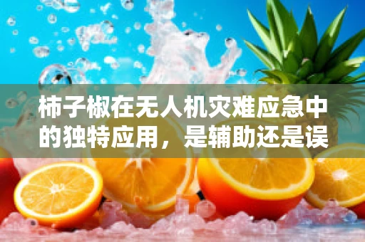 柿子椒在无人机灾难应急中的独特应用，是辅助还是误导？