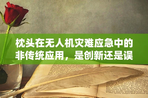 枕头在无人机灾难应急中的非传统应用，是创新还是误解？