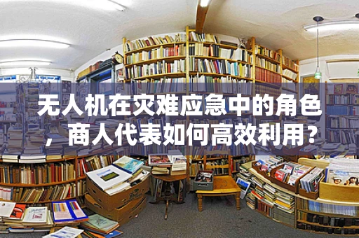 无人机在灾难应急中的角色，商人代表如何高效利用？