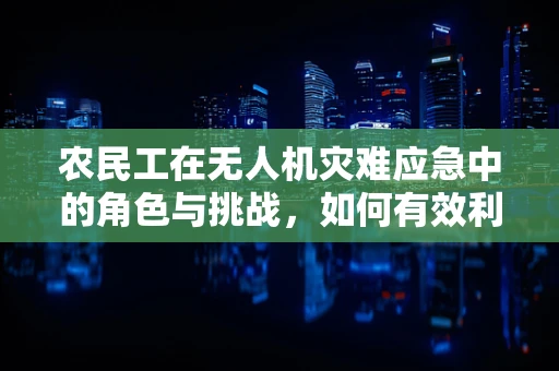 农民工在无人机灾难应急中的角色与挑战，如何有效利用技术保障安全？