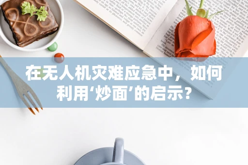 在无人机灾难应急中，如何利用‘炒面’的启示？