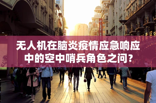 无人机在脑炎疫情应急响应中的空中哨兵角色之问？