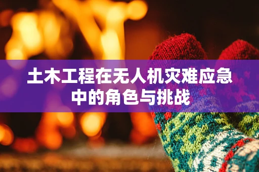 土木工程在无人机灾难应急中的角色与挑战