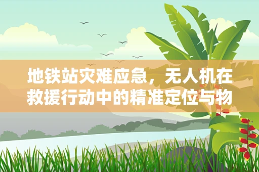地铁站灾难应急，无人机在救援行动中的精准定位与物资投送挑战