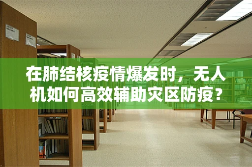 在肺结核疫情爆发时，无人机如何高效辅助灾区防疫？