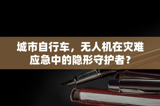 城市自行车，无人机在灾难应急中的隐形守护者？