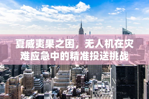 夏威夷果之困，无人机在灾难应急中的精准投送挑战