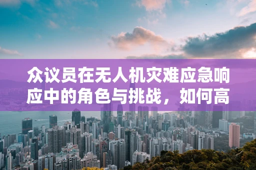 众议员在无人机灾难应急响应中的角色与挑战，如何高效协调？