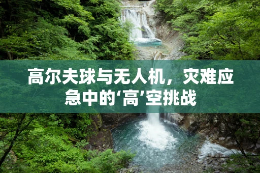 高尔夫球与无人机，灾难应急中的‘高’空挑战