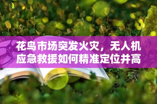 花鸟市场突发火灾，无人机应急救援如何精准定位并高效灭火？