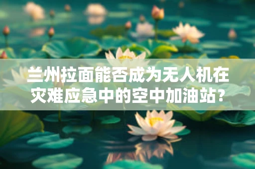 兰州拉面能否成为无人机在灾难应急中的空中加油站？