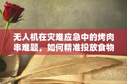 无人机在灾难应急中的烤肉串难题，如何精准投放食物补给？