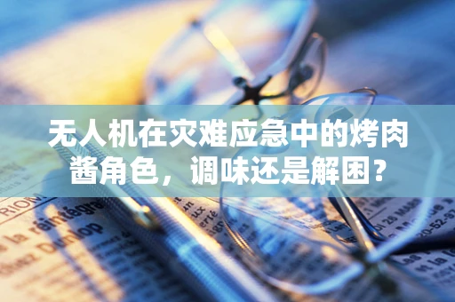 无人机在灾难应急中的烤肉酱角色，调味还是解困？