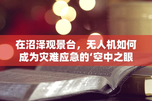 在沼泽观景台，无人机如何成为灾难应急的‘空中之眼’？