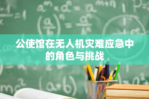 公使馆在无人机灾难应急中的角色与挑战