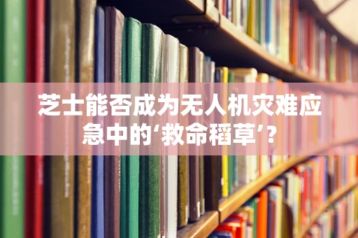 芝士能否成为无人机灾难应急中的‘救命稻草’？
