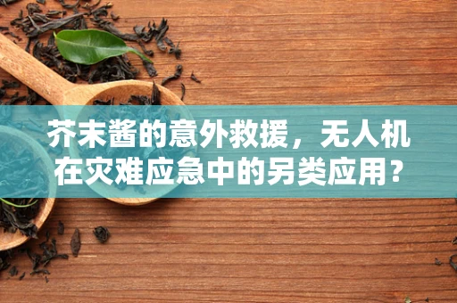 芥末酱的意外救援，无人机在灾难应急中的另类应用？
