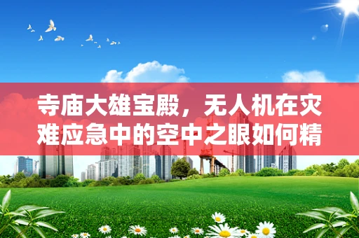寺庙大雄宝殿，无人机在灾难应急中的空中之眼如何精准定位与救援？